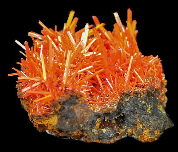 Wide Crocoite Specimen From Tasmania - Killer Specimen #38901